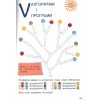 НУШ Інформатика 4 клас Зошит (до Козак) авт. Козак Л. вид. Літера