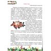 Літня читанка майбутнього четвертокласника (з 3 у 4 клас) авт. Сапун Г. вид. Підручники і посібники