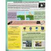 Атлас 7 клас Географія (Материки та океани) авт. Гільберг Т.В. вид. Оріон