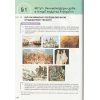 Підручник Історія України 8 клас НУШ  Пометун О. І. (Освіта)