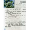 Буквар українська мова 1 клас НУШ (2 частина) авт. Вашуленко М., Вашуленко О. вид. Освіта